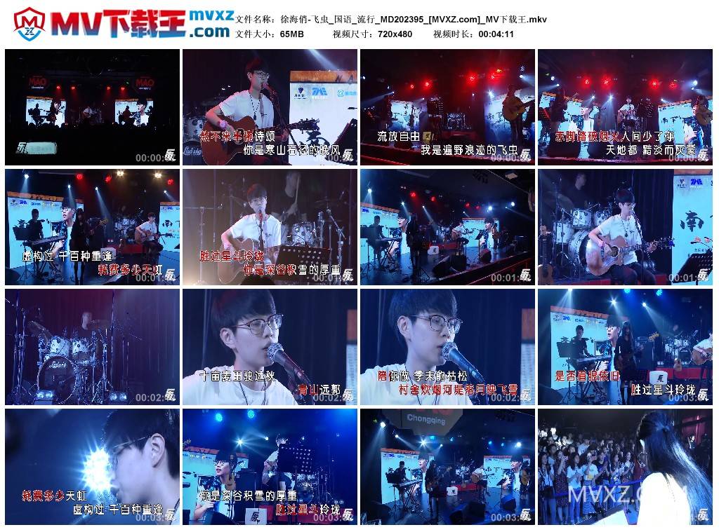 徐海俏-飞虫_国语_流行_MD202395